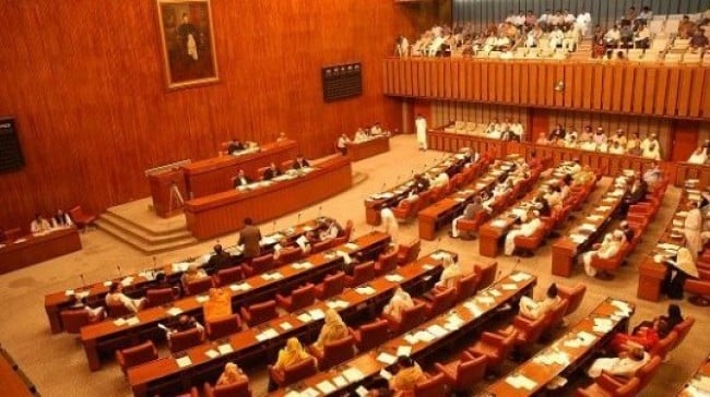 Senate Panel Warns of Drug Production in Balochistan
